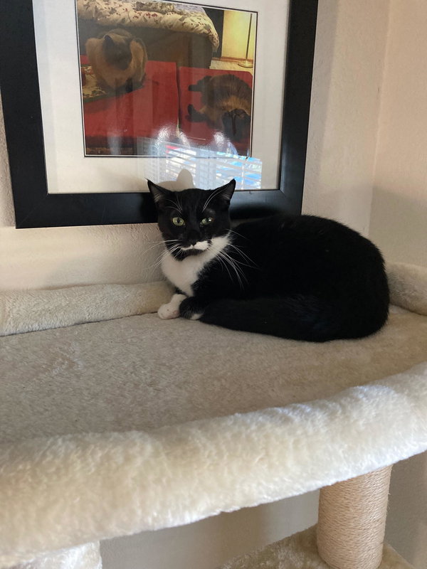 Shirley + Stanley