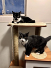 Shirley + Stanley - Photo 1