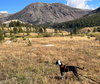 Kira - Photo 3