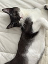 Jack - Photo 1