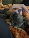 Ares - Photo 3