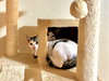 Spot - Photo 2