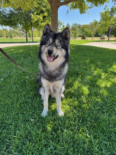 Wes (Courtesy Post)