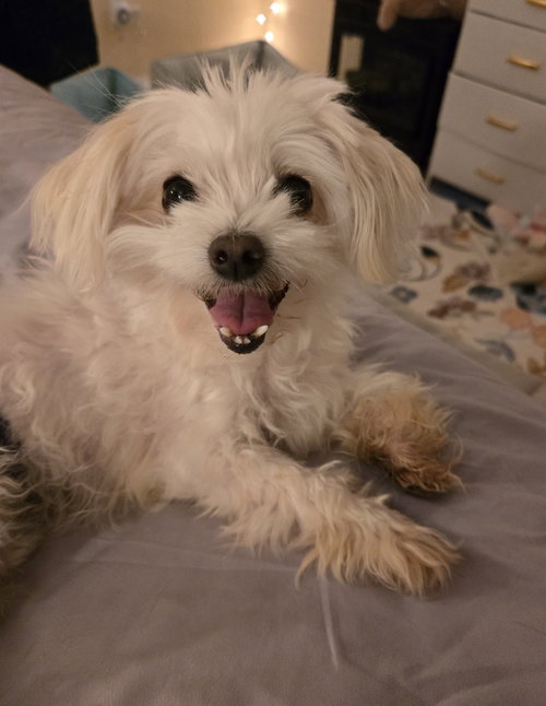 Rosie