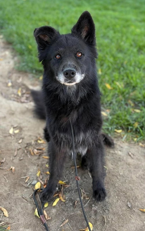Caspian photo 2