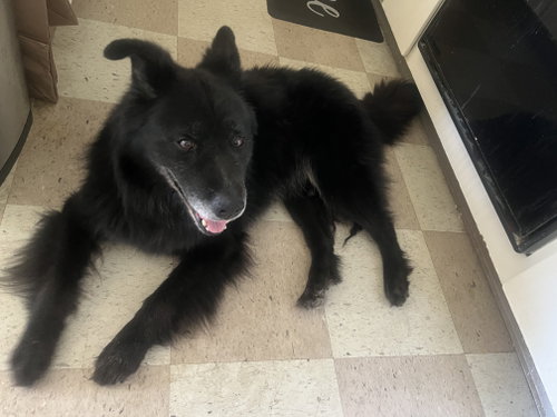 Caspian photo 4