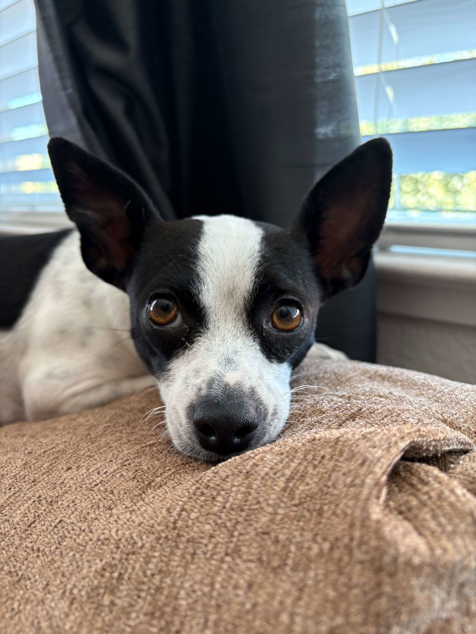 Audrey, photo 3