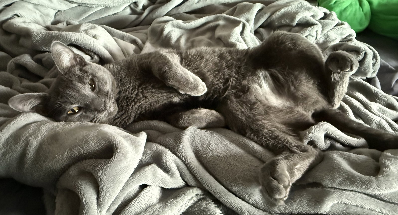 Luna