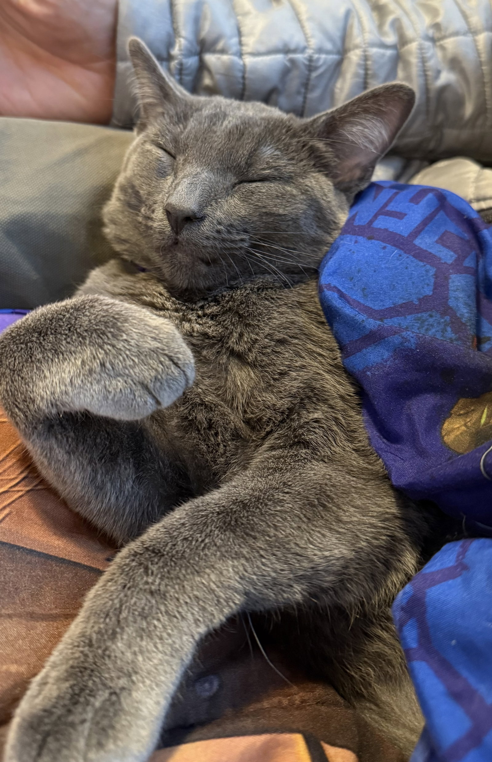 Luna, photo 2