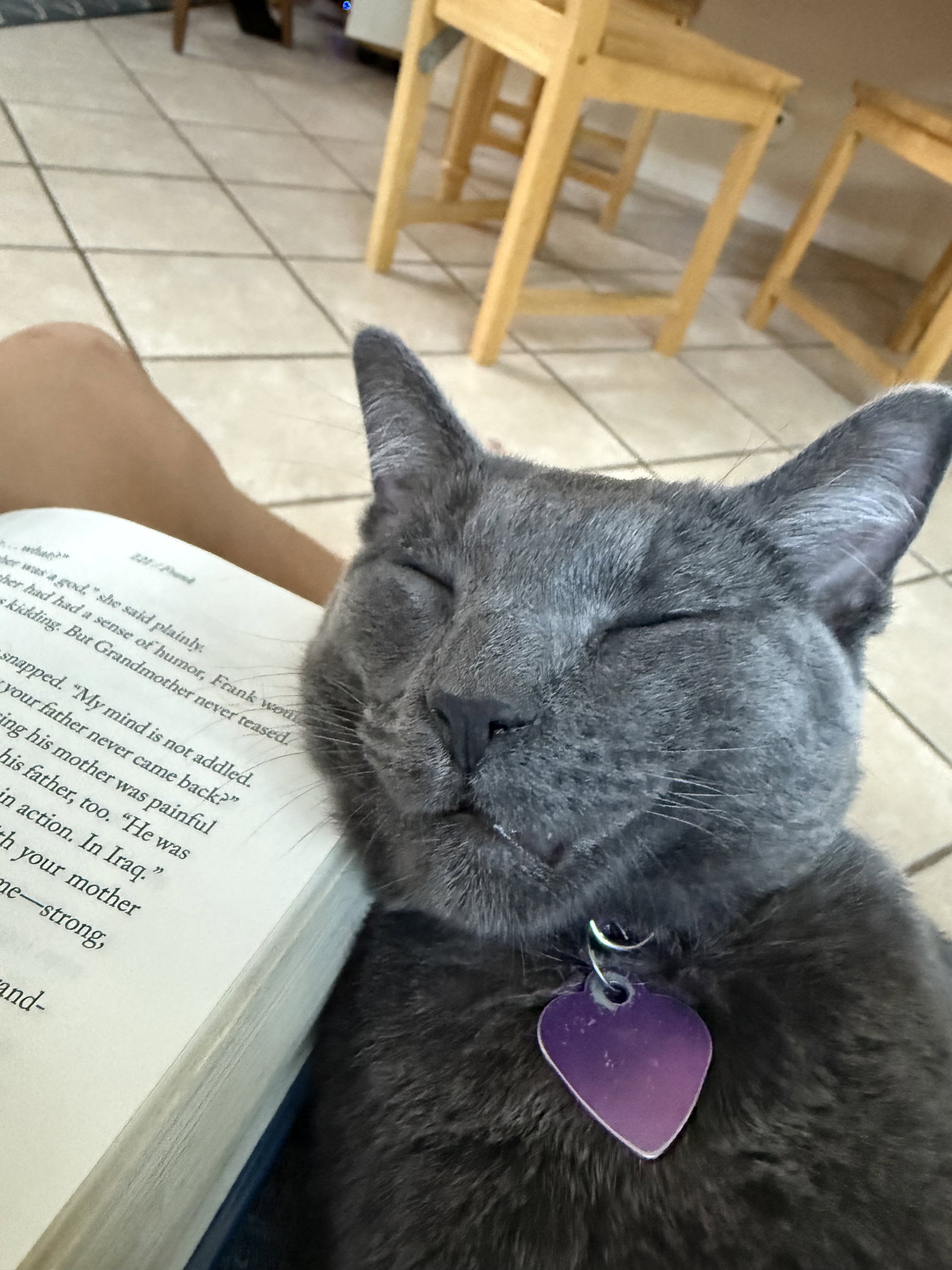 Luna, photo 3