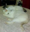 Charlie & Priscilla