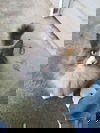 Stormy *Courtesy Post*