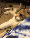 Zoey *Courtesy Post*