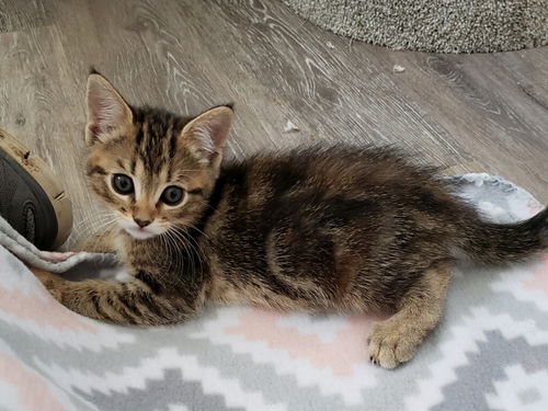 Fiona