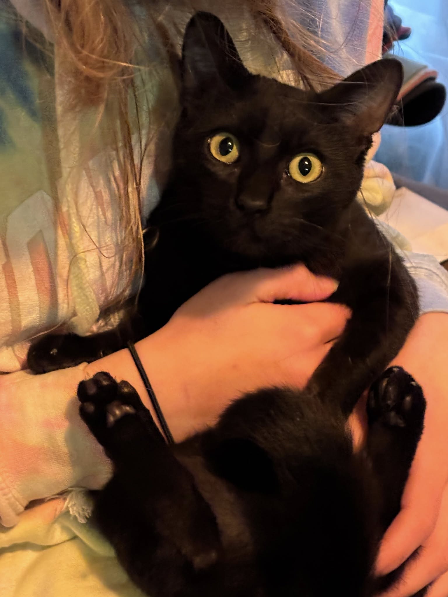Pip