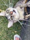 Lily - Photo 3