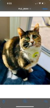 Chloe