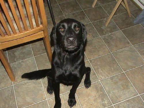 Doug