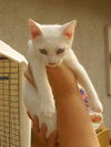 Casper