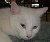 Casper