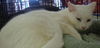 Casper
