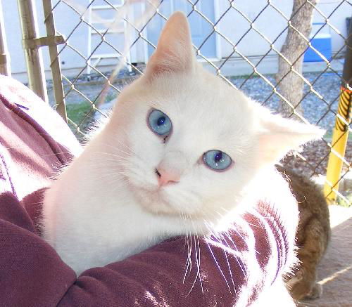 Casper