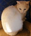 Casper