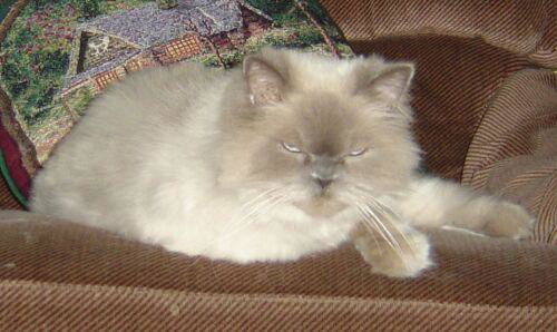 Casper