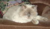 Casper