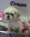 Muffiin