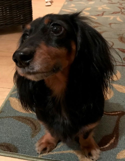 Prince