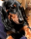 Prince