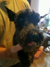 Millie