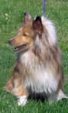 MURDOCH 