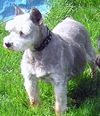 MITZY