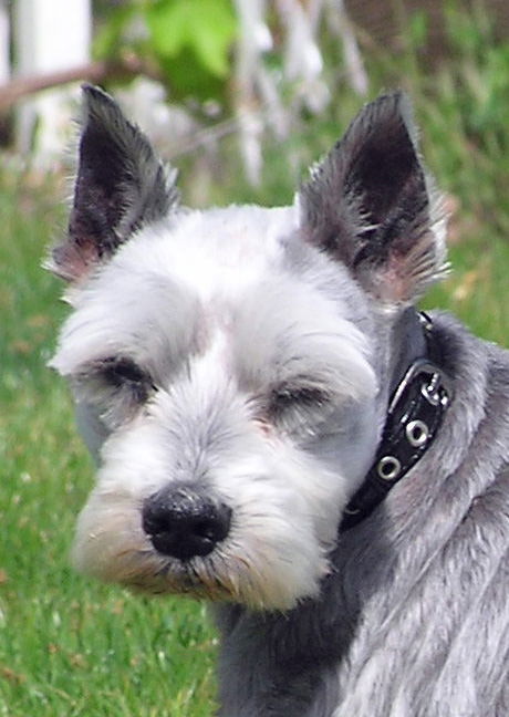 MITZY