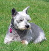 MITZY