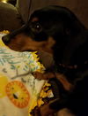 Missy