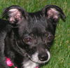 MIMI