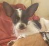 Miss Penny