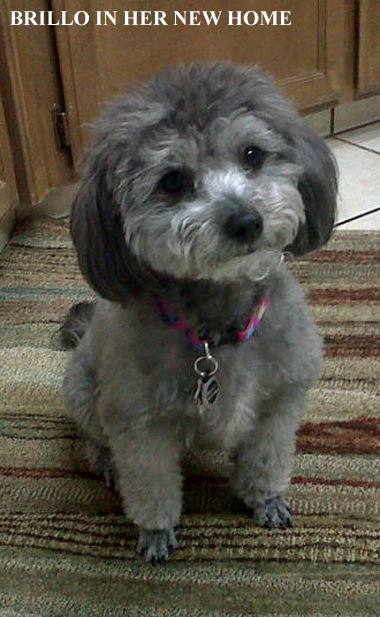 PRINCESS