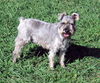 MURPHY