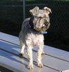 MURPHY