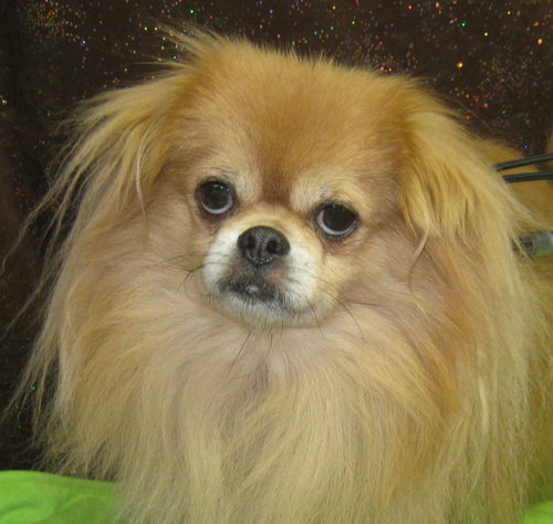 Tate