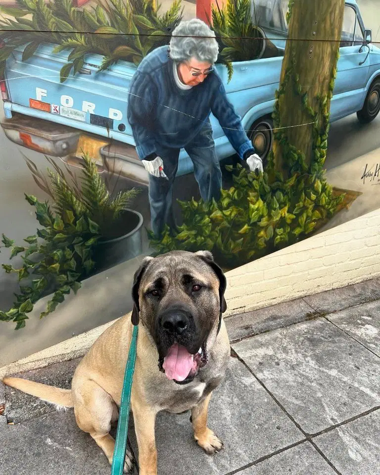 Capone image 2