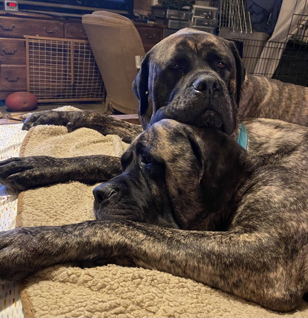 Cooper