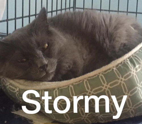 Stormy