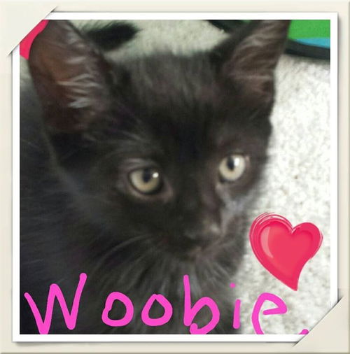 Woobie