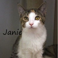 Janie