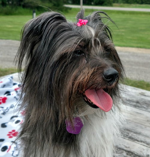 Millie